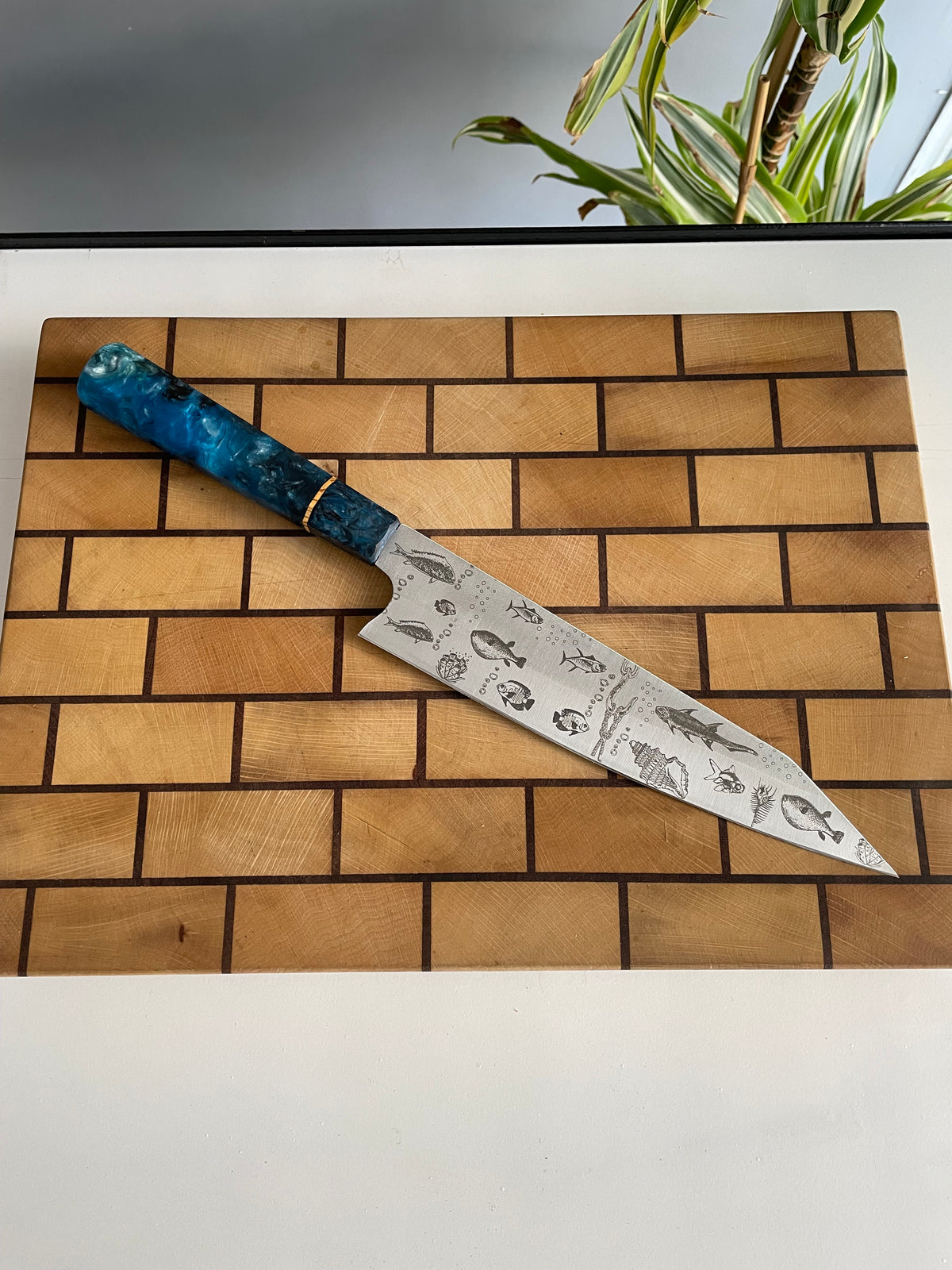 Asya Serisi Sujihiki / N690