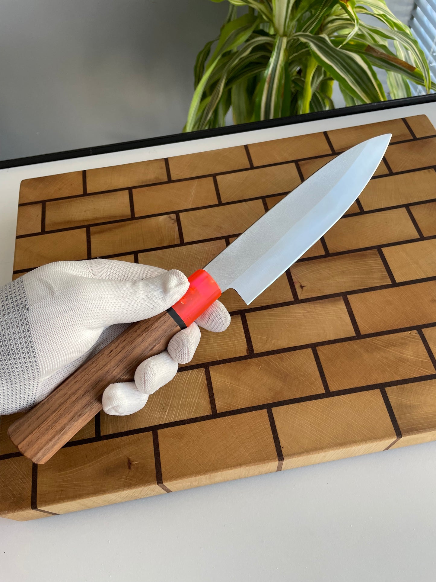 Asya Serisi Petty / 1.4116