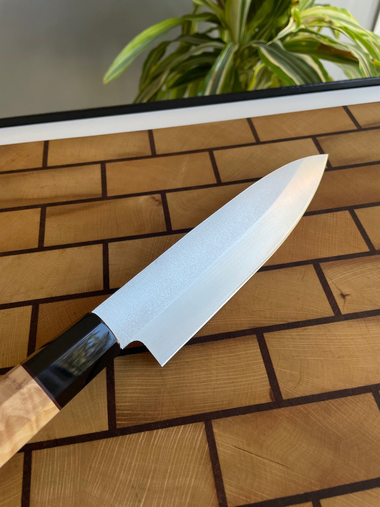 Asya Serisi Petty / N690
