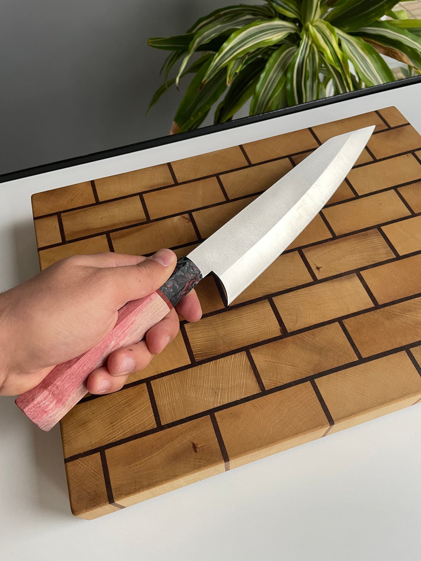 Asya Serisi Sujihiki / N690