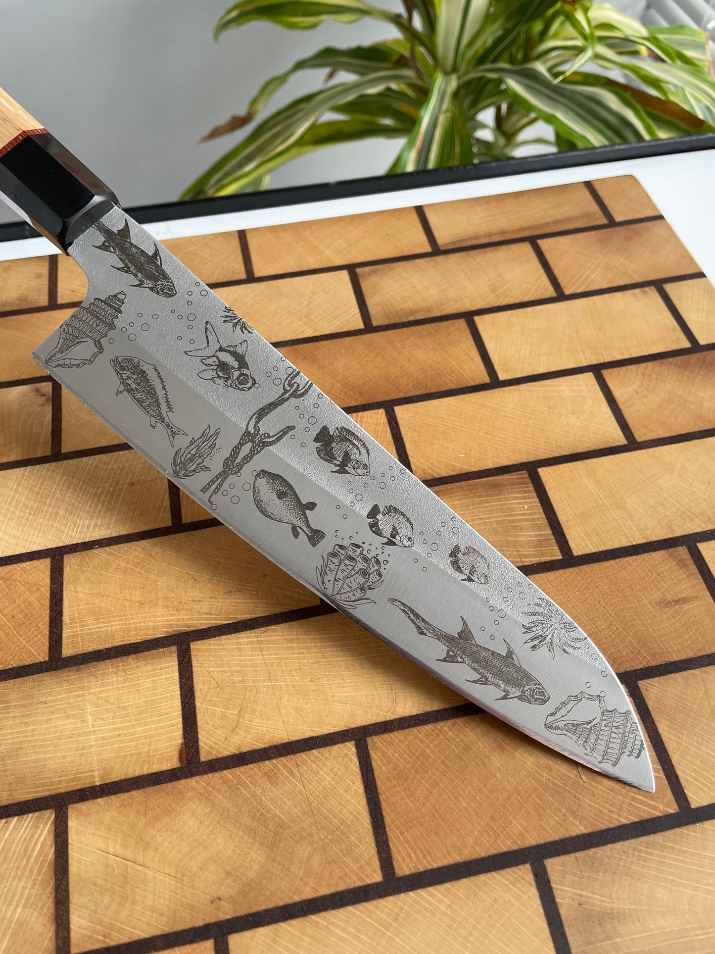 Asya Serisi Santoku / N690