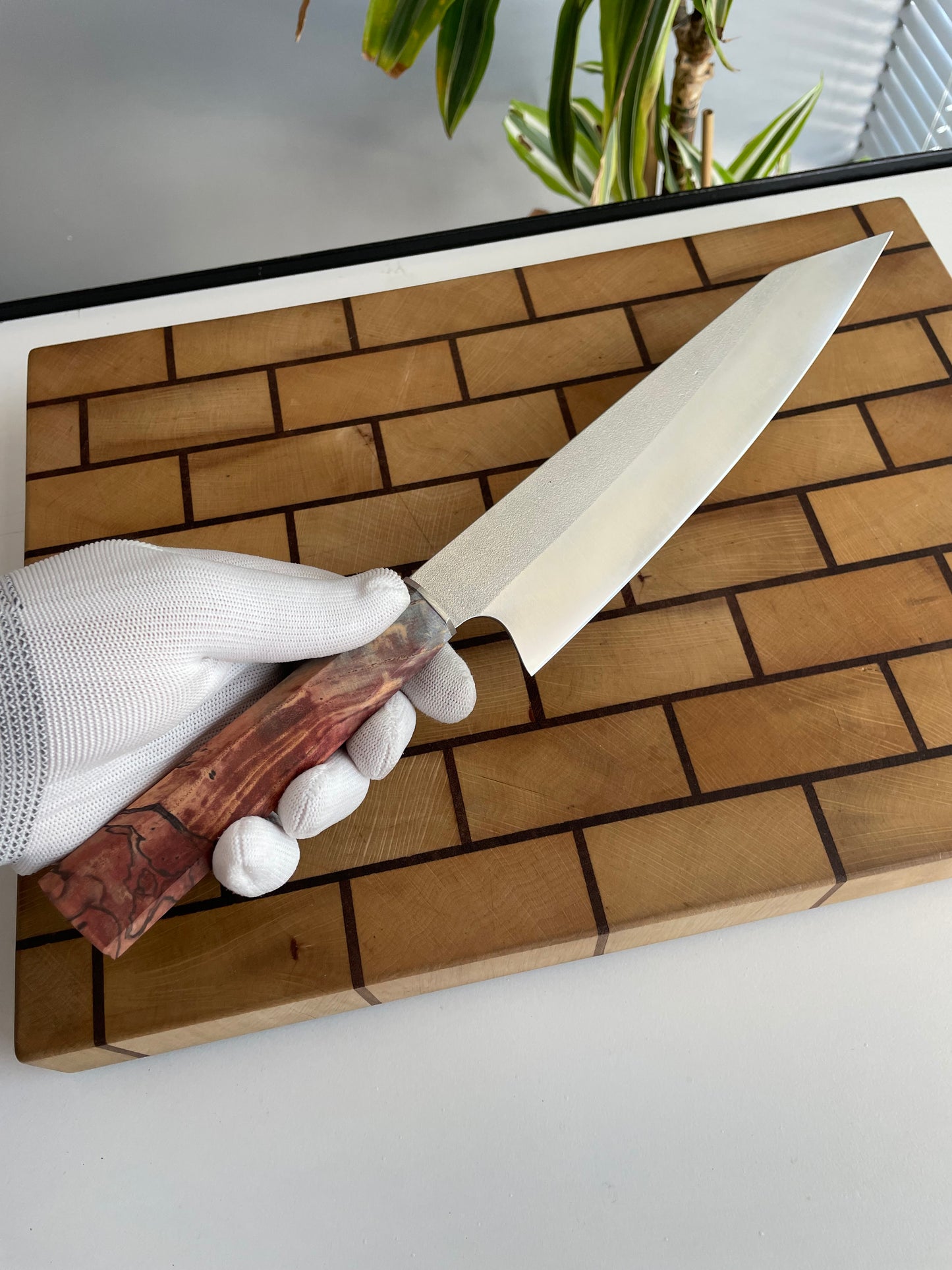 Asya Serisi Sujihiki / N690