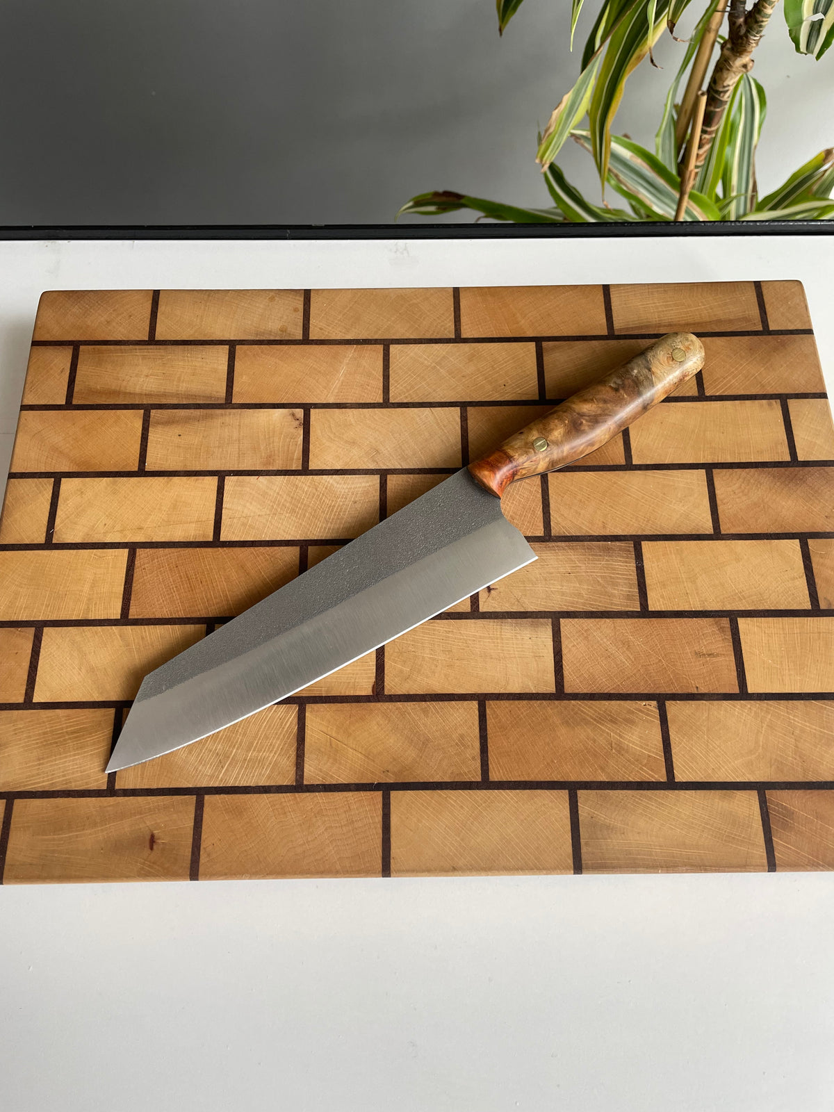 Asya Serisi Kiritsuke / N690