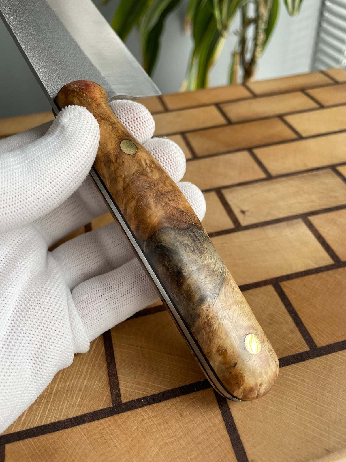 Asya Serisi Kiritsuke / N690