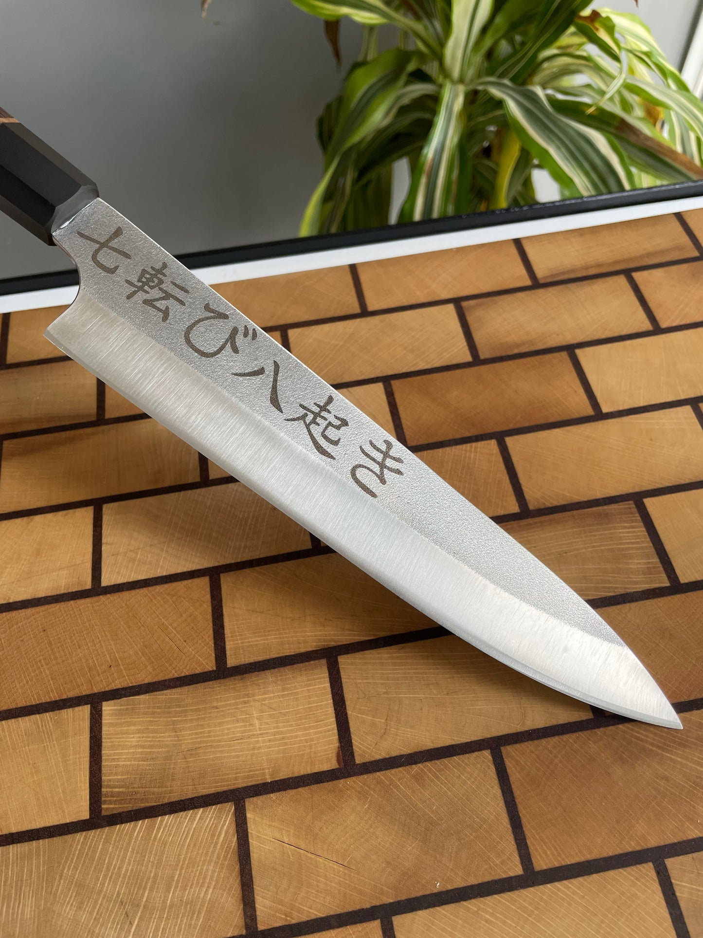 Asya Serisi Gyuto / N690
