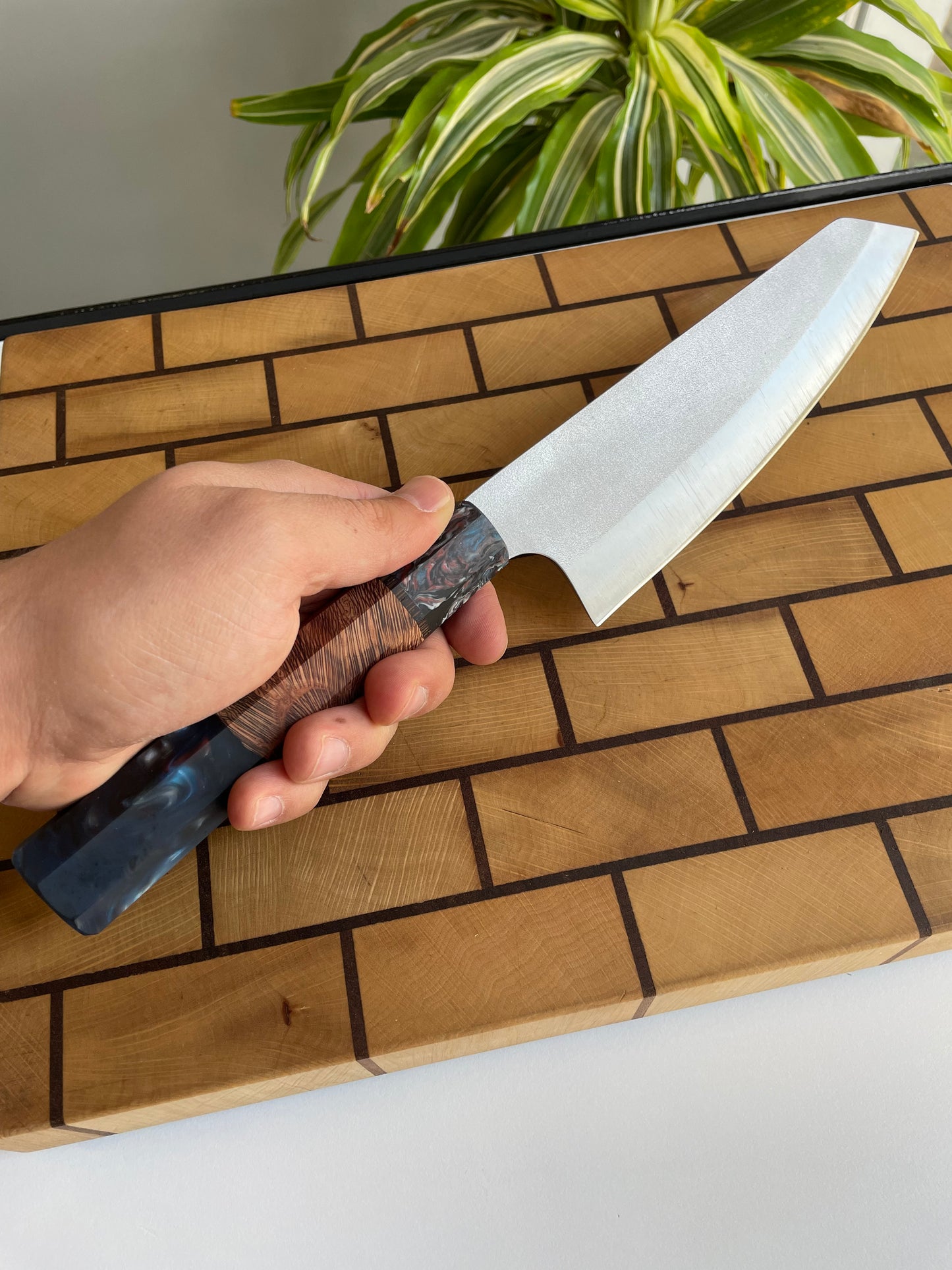 Asya Serisi Bunka / N690
