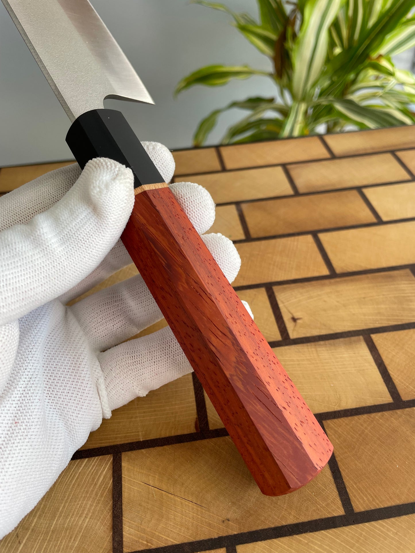 Asya Serisi Kiritsuke / N690